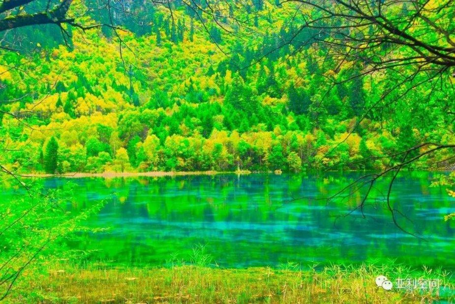 老公出轨我该不该去找那个小三算账，或者骂她一顿呢？游戏画面
