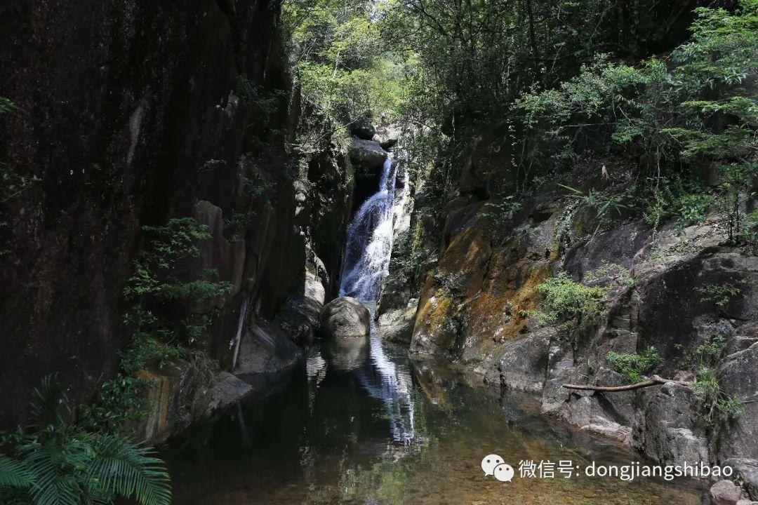 慢性咽炎能中西药一起吃吗游戏画面