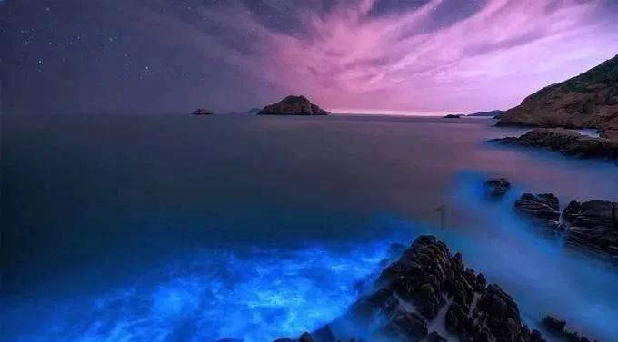 爱运动的芭比