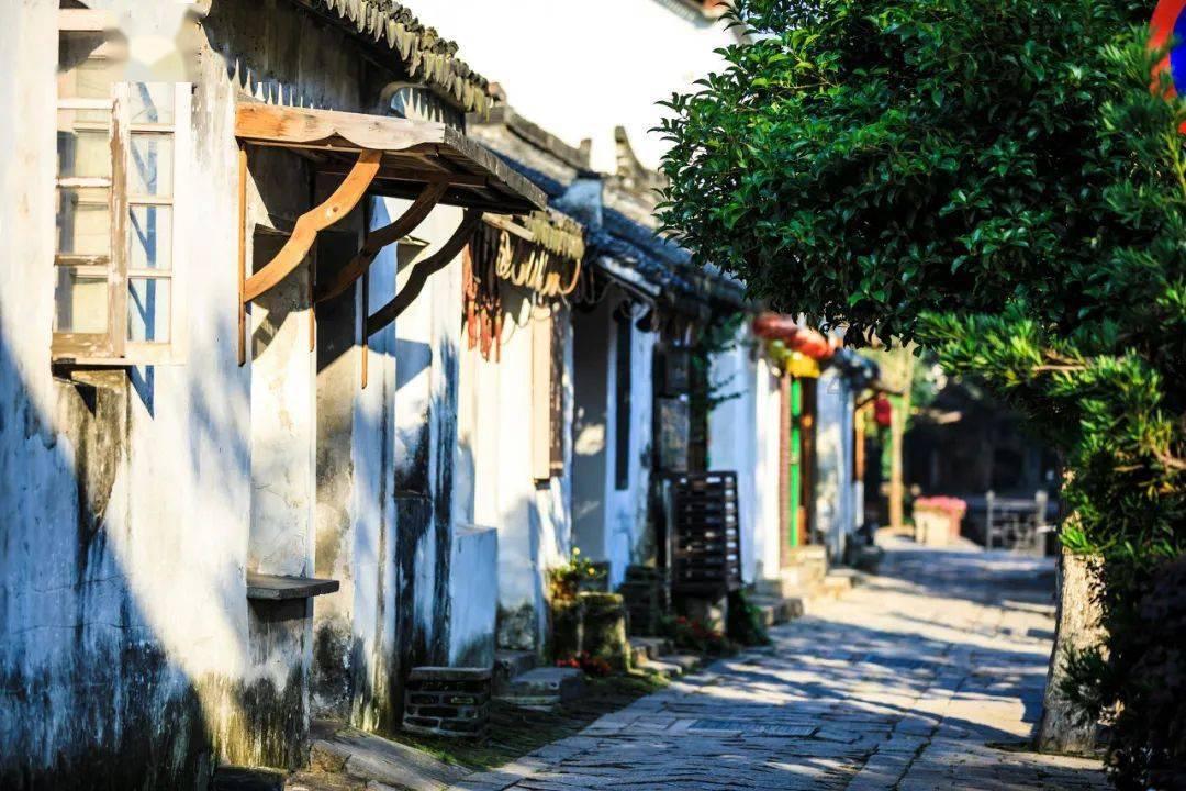 逃离可爱村落