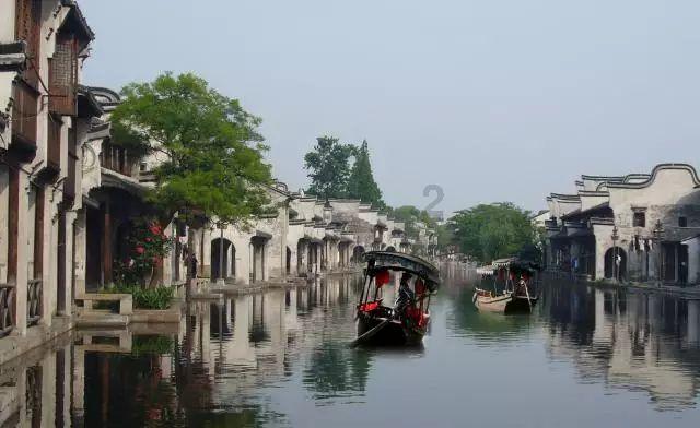 除虫大师